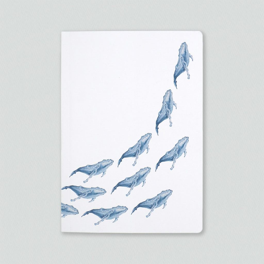 Whales Notebook
