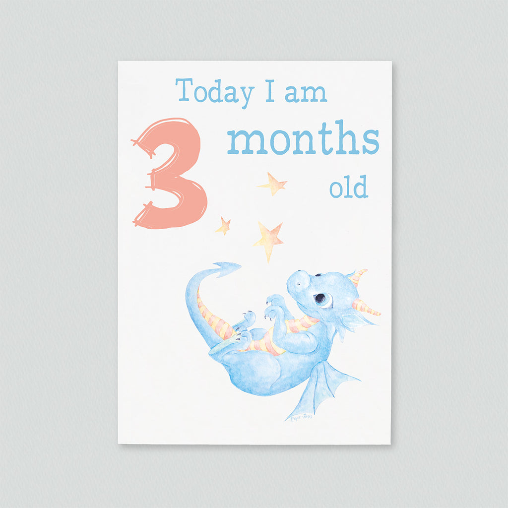 Baby Milestone Cards