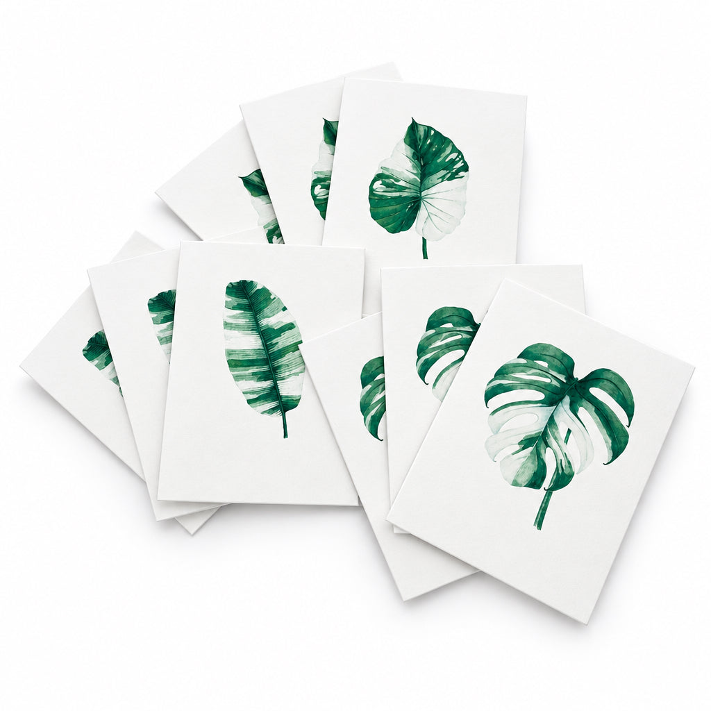 Variegated leaves (gorgeously green and white) Card Pack (6 Notecards)