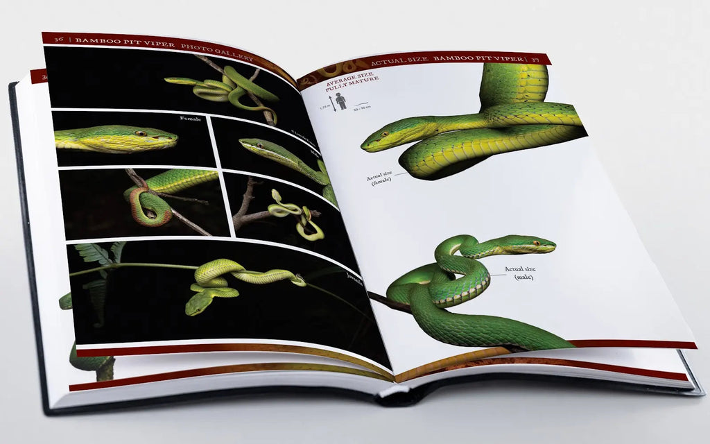A Field Guide to The Snakes of Hong Kong 2nd Edition