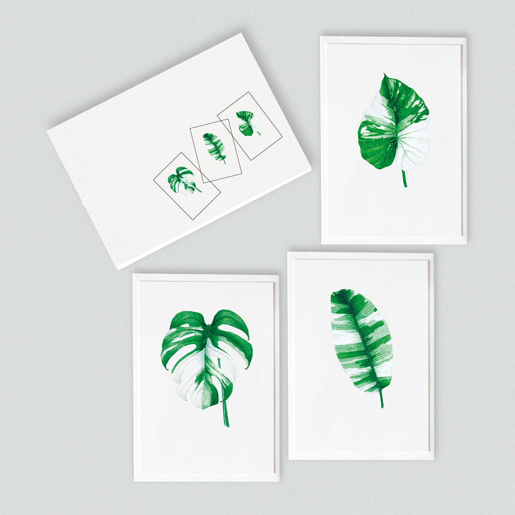 Variegated leaves (gorgeously green and white) Card Pack (6 Notecards)