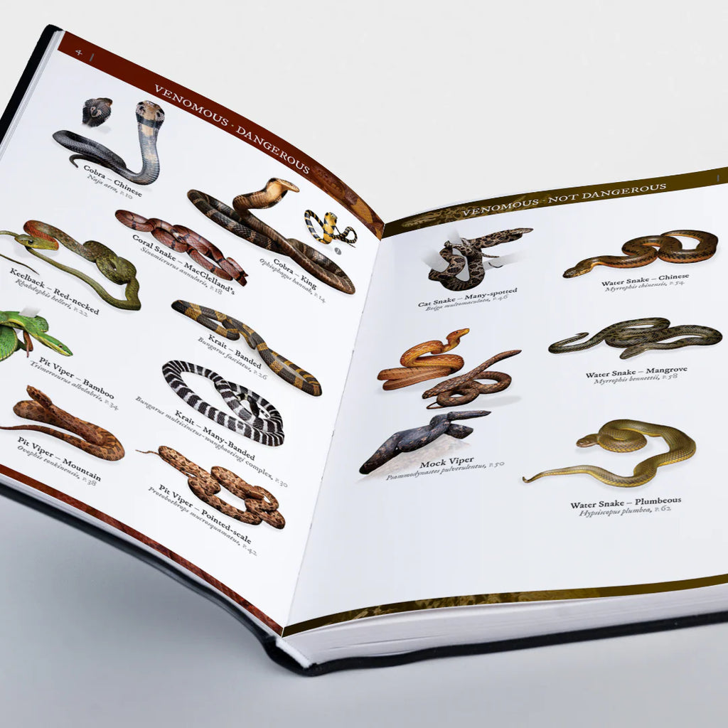A Field Guide to The Snakes of Hong Kong 2nd Edition