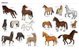 Big Horses, Little Horses : A Visual Guide to the World's Horses and Ponies