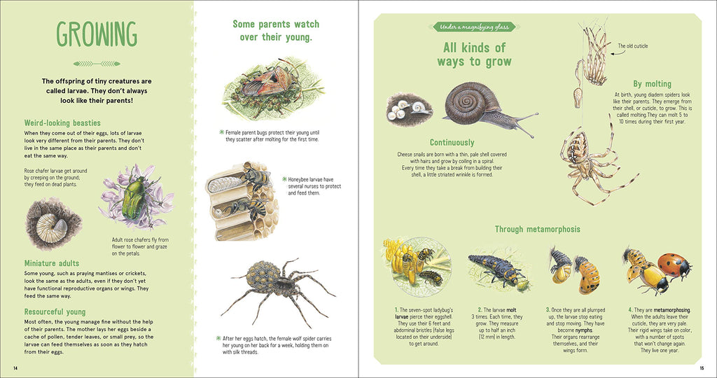 The Book Of Tiny Creatures