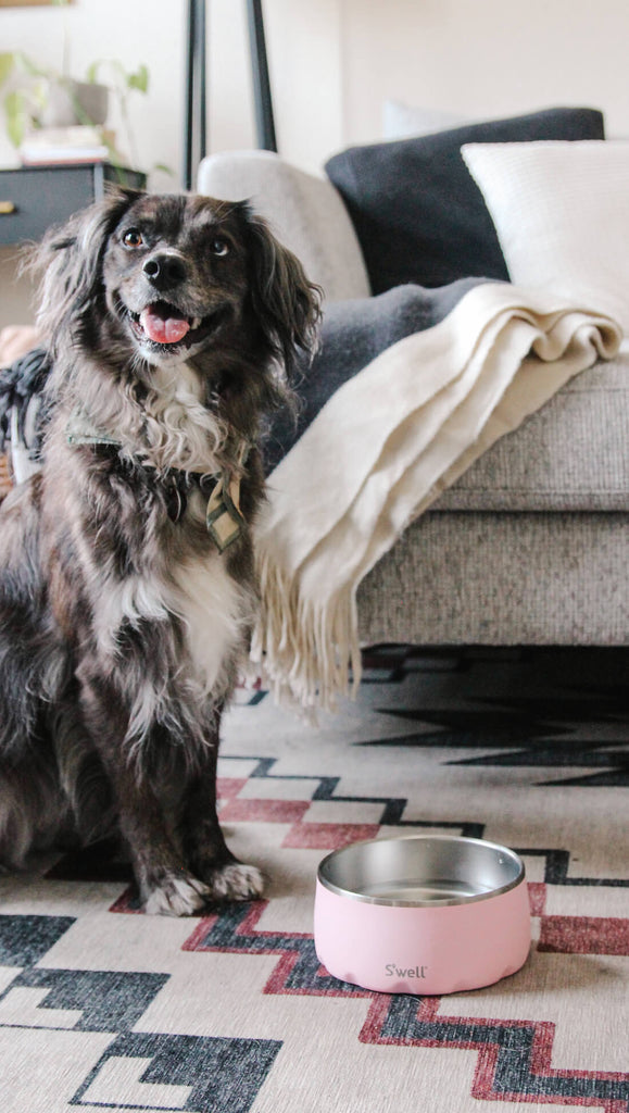 Pink Topaz - Stainless Steel S'well Dog Bowl