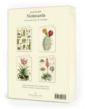 " Succulents " Boxed Note Cards