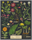 " Herbarium " - 1000-Piece Puzzle