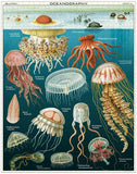 " Jellyfish " - 1000-Piece Puzzle