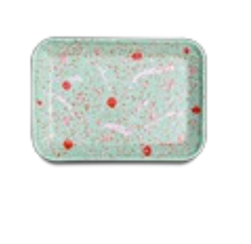 Enamel Rectangular Tray (Multiple Styles)