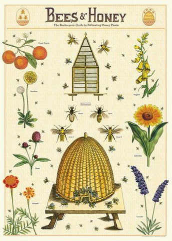 " Bees & Honey " Poster