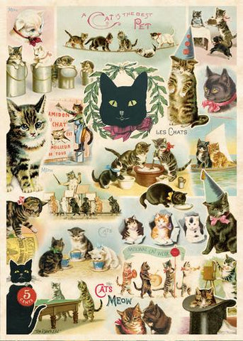 " Cat Collage " Poster