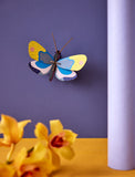 Small Insects Wall Decoration