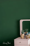 Amsterdam Green Annie Sloan Wall Paint