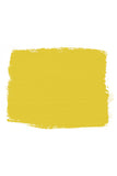 English Yellow Annie Sloan Wall Paint