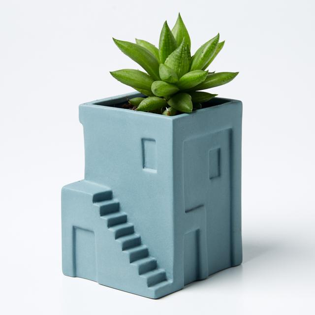 Casa House Planter (Multiple Styles)