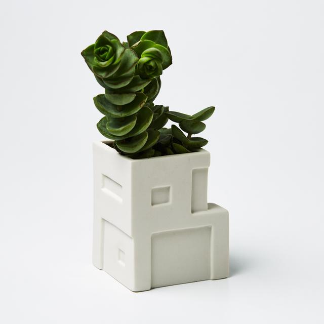 Casa House Planter (Multiple Styles)