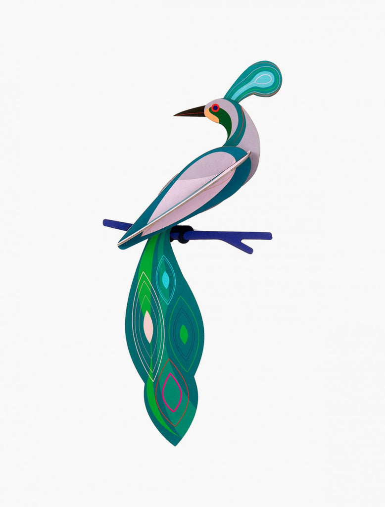 Paradise Bird Wall Decoration