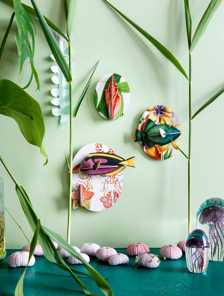 Collectors Box Wall Decoration