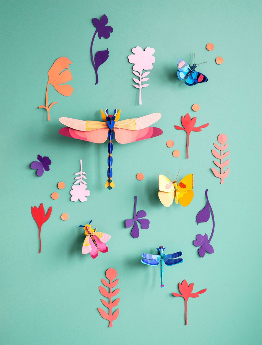 Wall of Curiosities - Wall Decor