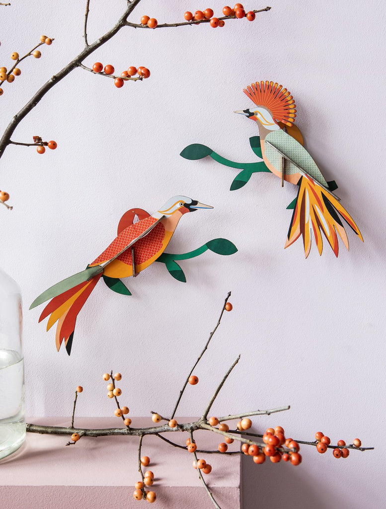 Paradise Bird Wall Decoration