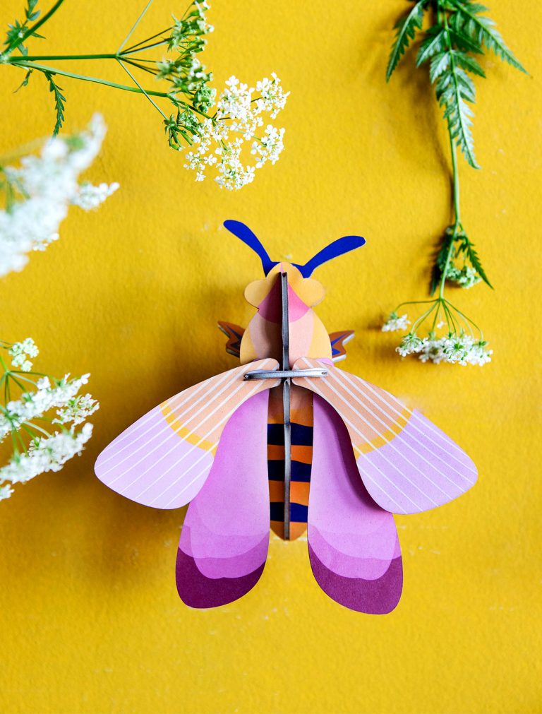 Small Insects Wall Decoration