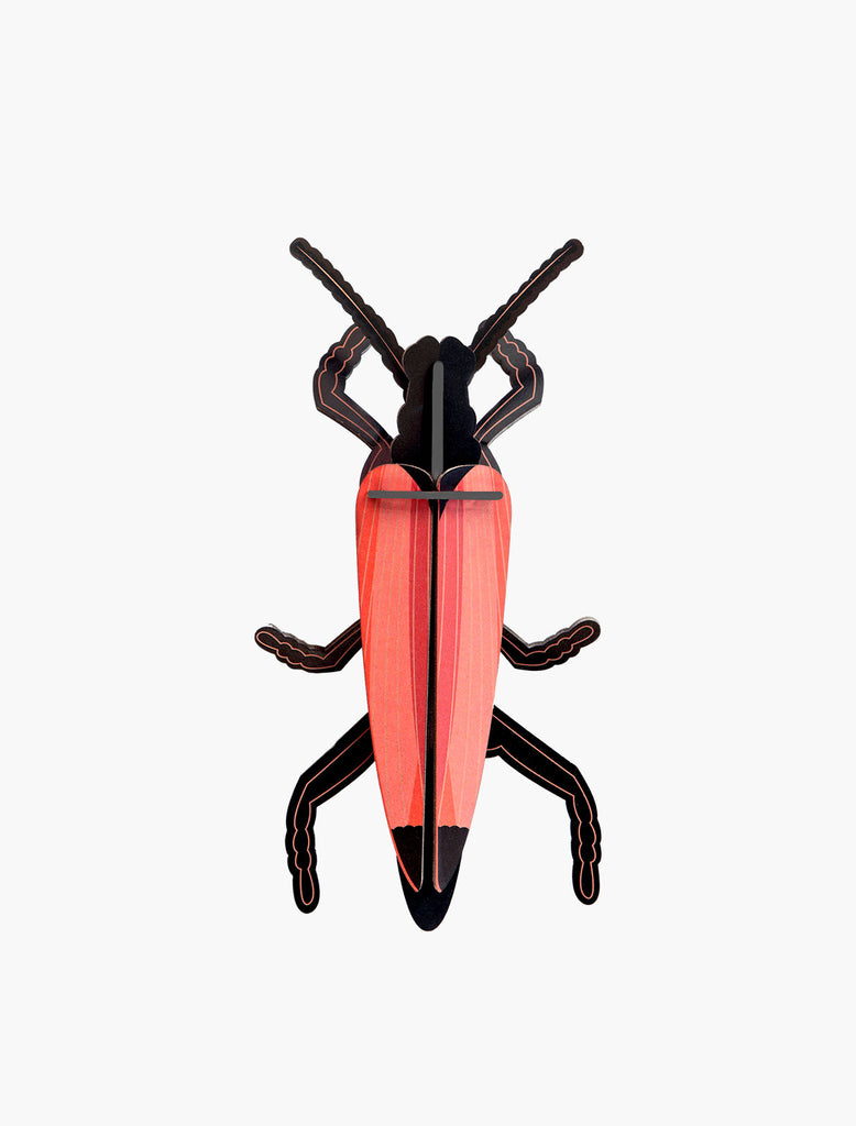 Small Insects Wall Decoration
