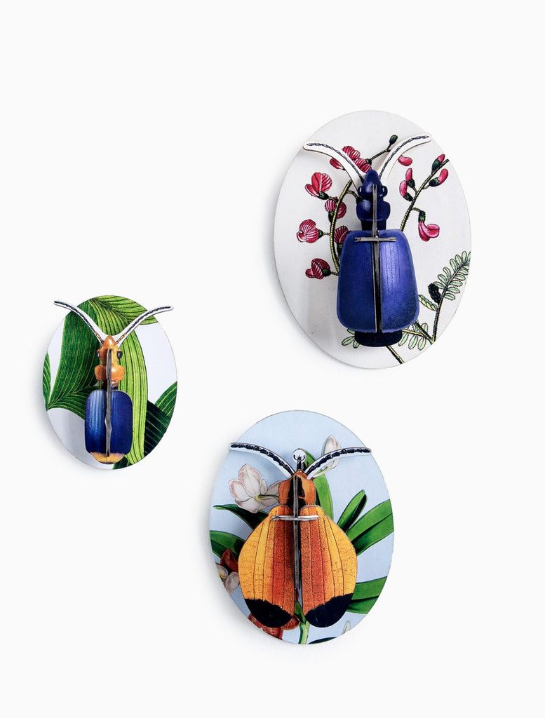 Collectors Box Wall Decoration