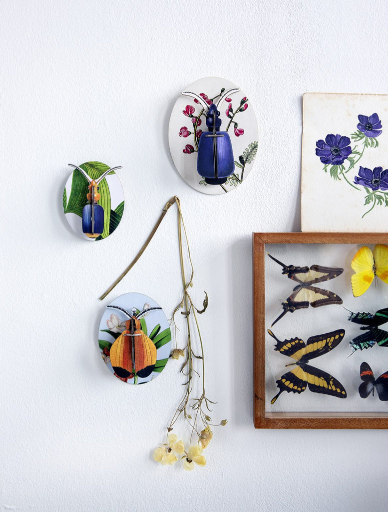 Collectors Box Wall Decoration