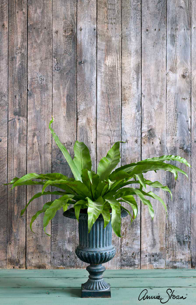 Annie Sloan Paints Everything