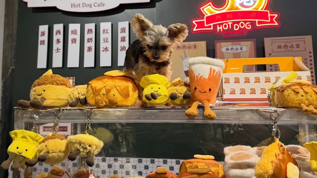 HOT DOG Collection
