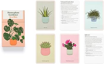 Product image of Houseplant Gardener In A Box