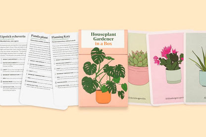Product image of Houseplant Gardener In A Box