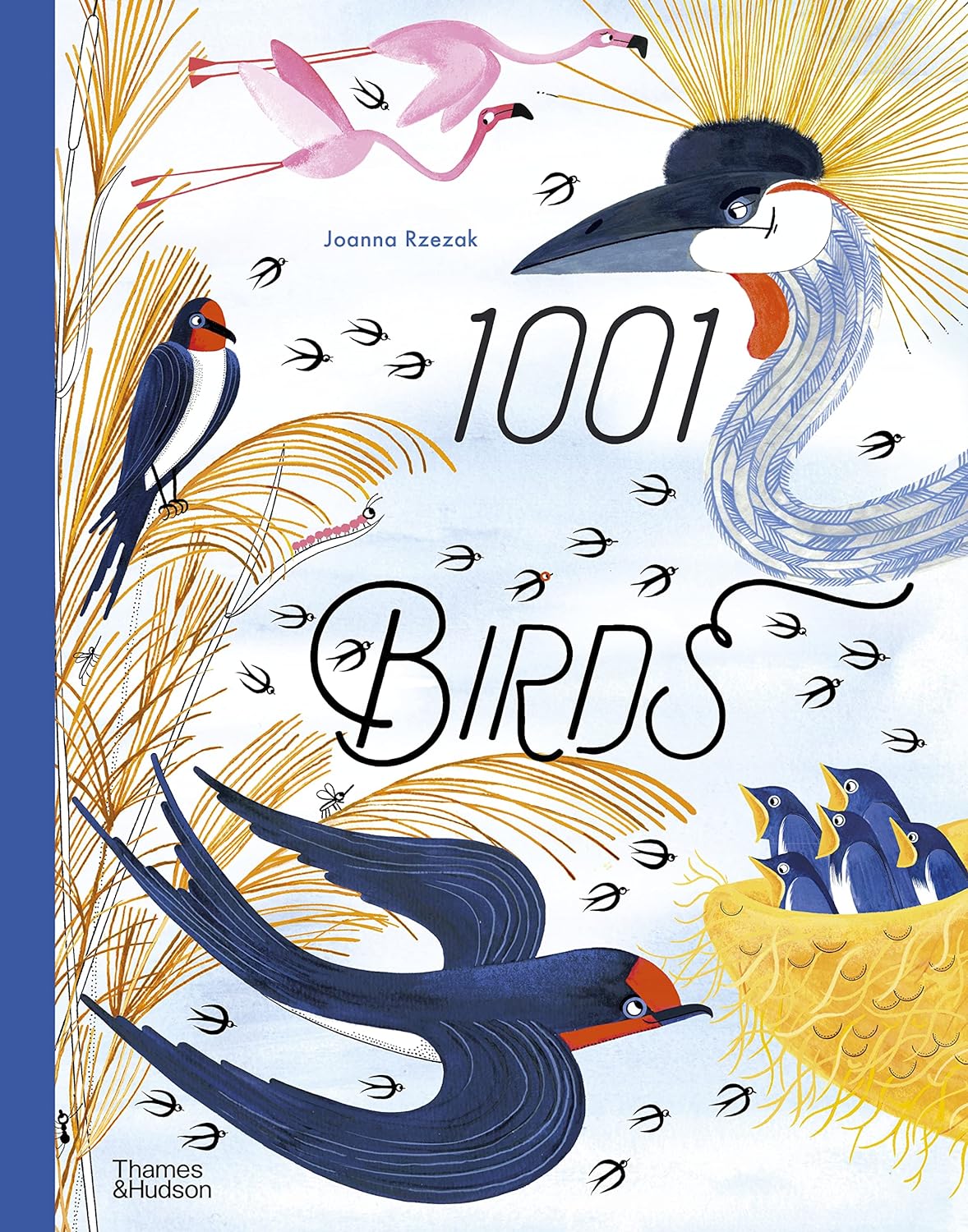 1001 BIRDS - Thorn and Burrow