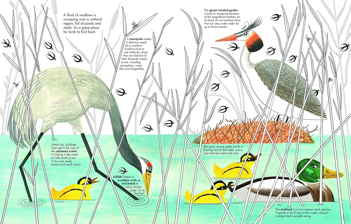 1001 BIRDS - Thorn and Burrow