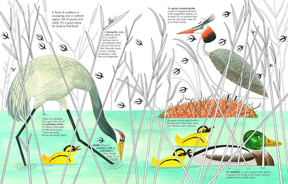 1001 BIRDS - Thorn and Burrow