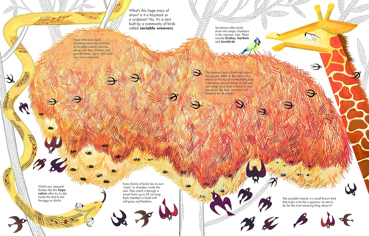 1001 BIRDS - Thorn and Burrow
