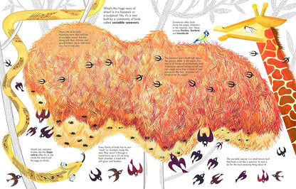 1001 BIRDS - Thorn and Burrow