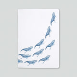 Whales Notebook