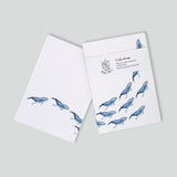 Whales Notebook