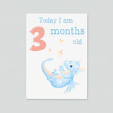 Baby Milestone Cards