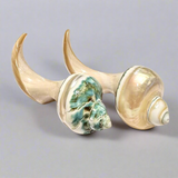 Chopsticks Rest - Shell Collection