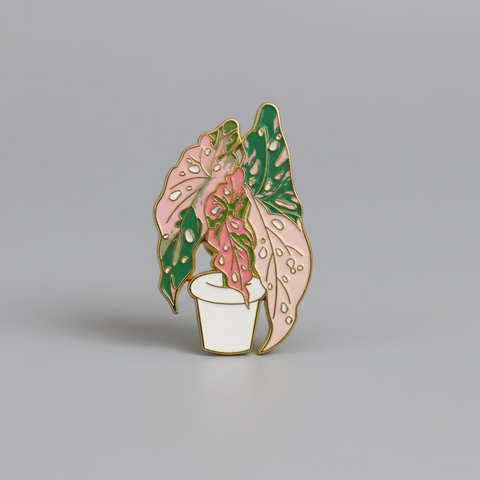 " Hoya Splash Plant " T&B Magnet