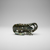 Hair Claw Clip - Under the Sea Collection