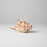 Hair Claw Clip - Under the Sea Collection