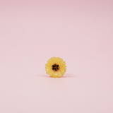 Hair Claw Clip - The Extra Small Collection