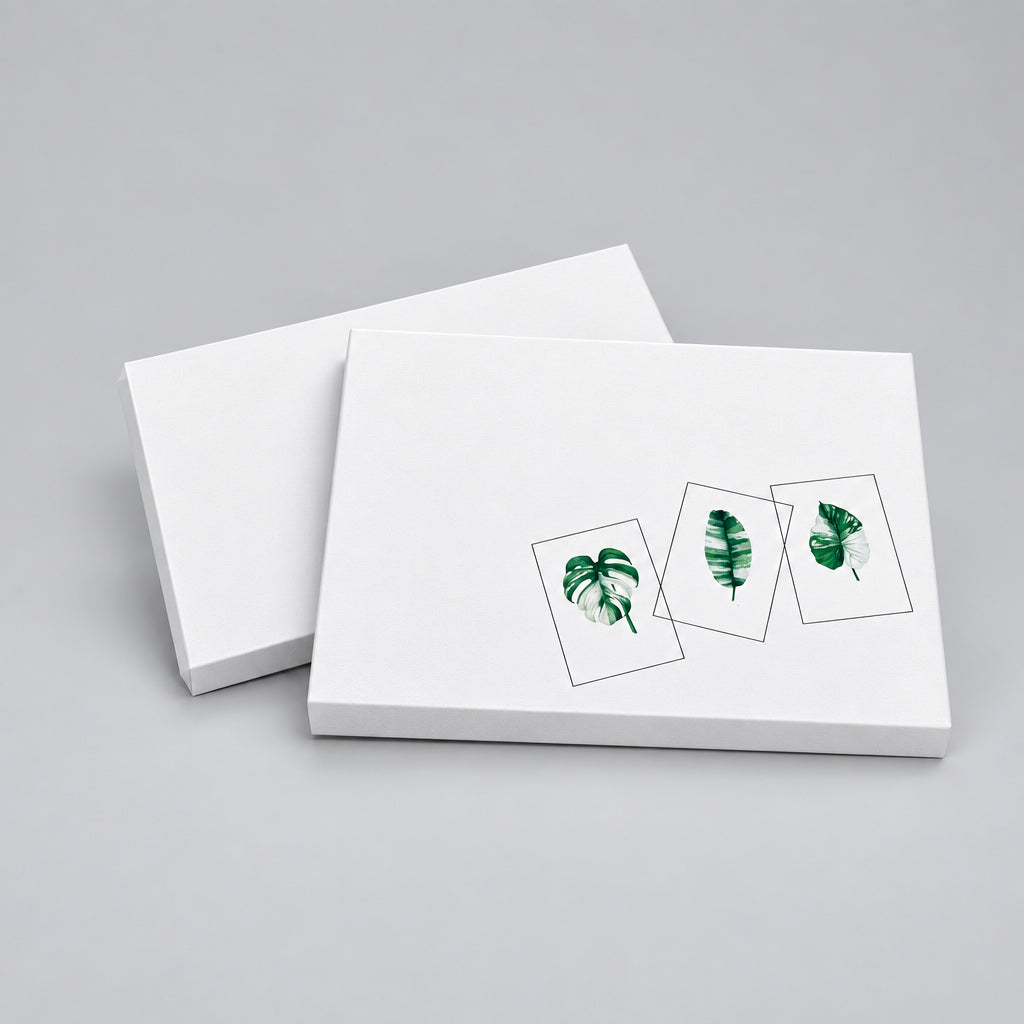 Variegated leaves (gorgeously green and white) Card Pack (6 Notecards)