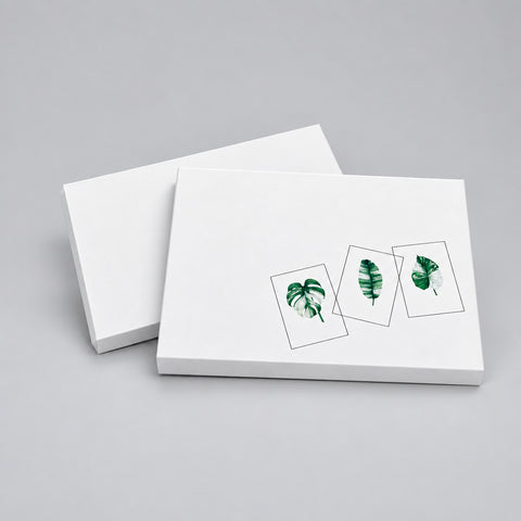 Variegated leaves (gorgeously green and white) Card Pack (6 Notecards)