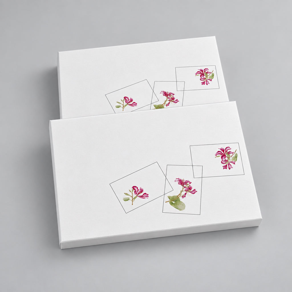 Bauhinia Card Pack (6 Notecards)