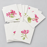 Bauhinia Card Pack (6 Notecards)