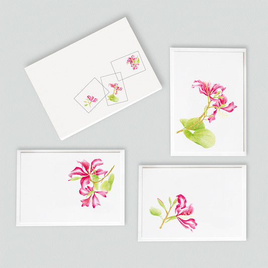 Product image of Bauhinia Card Pack (6 Notecards)